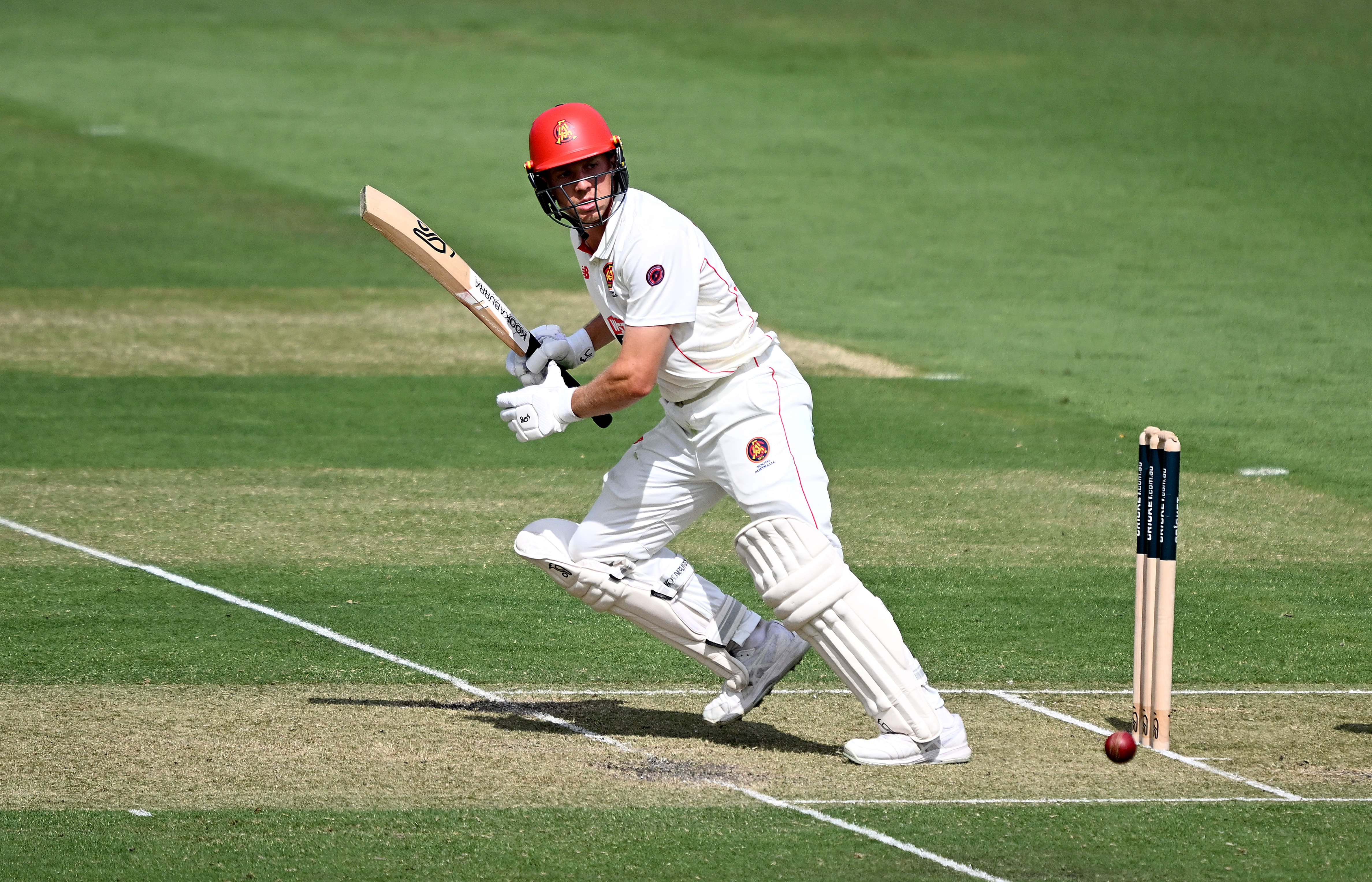 Ricky Ponting backs McSweeney to open the batting against India