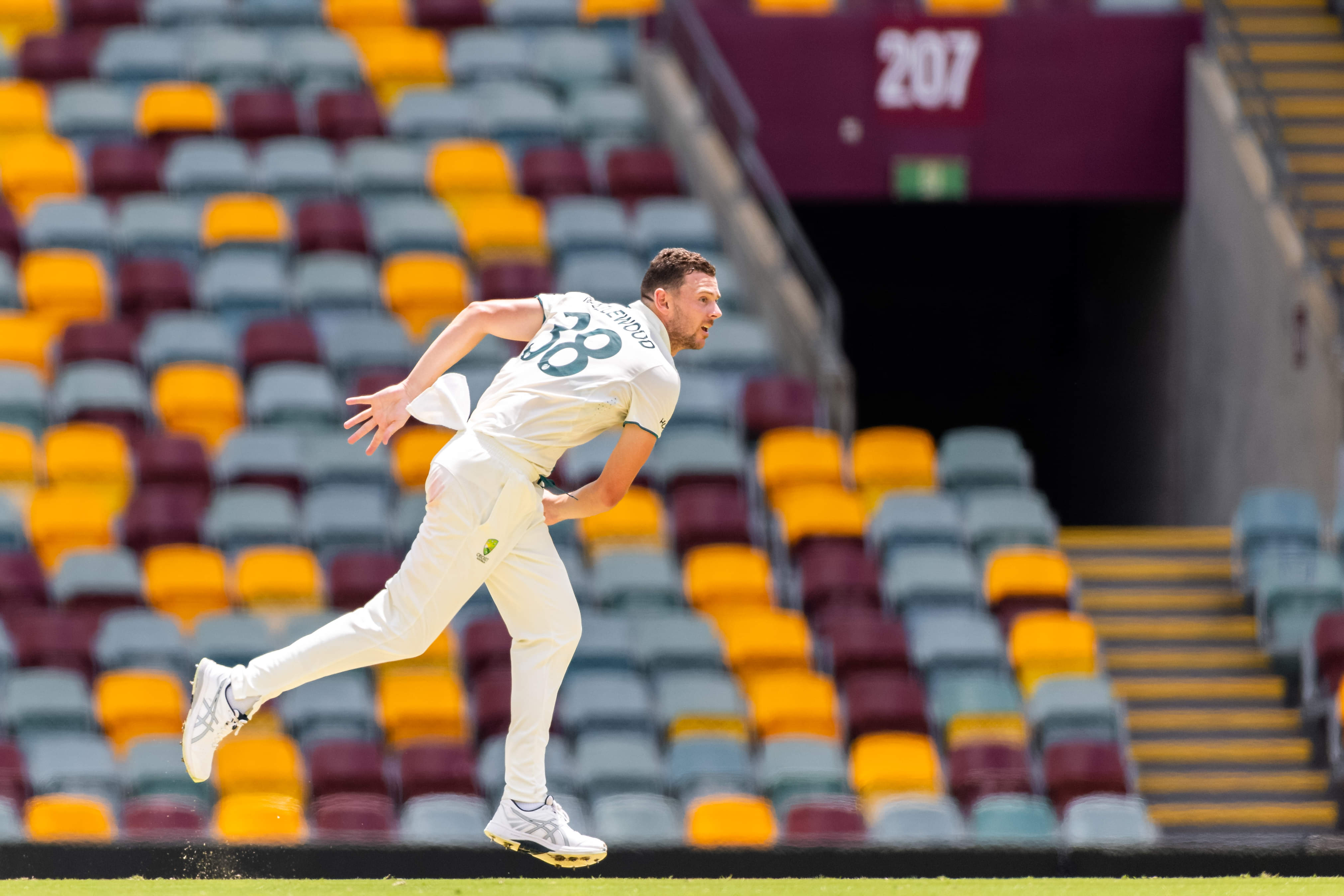 BGT 2024-25: Josh Hazlewood to miss remainder of India Tests