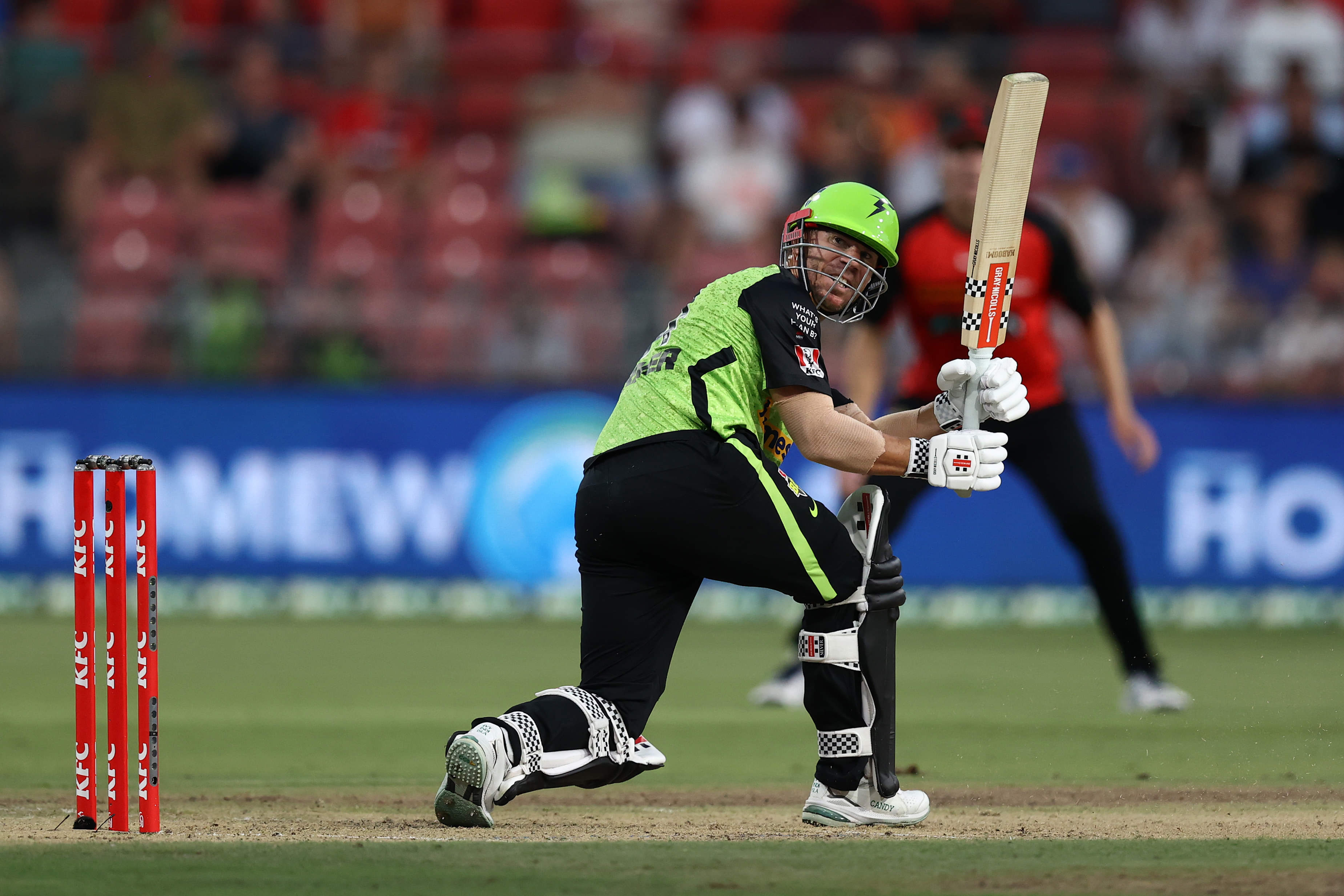 David Warner slams first BBL fifty in 11 years