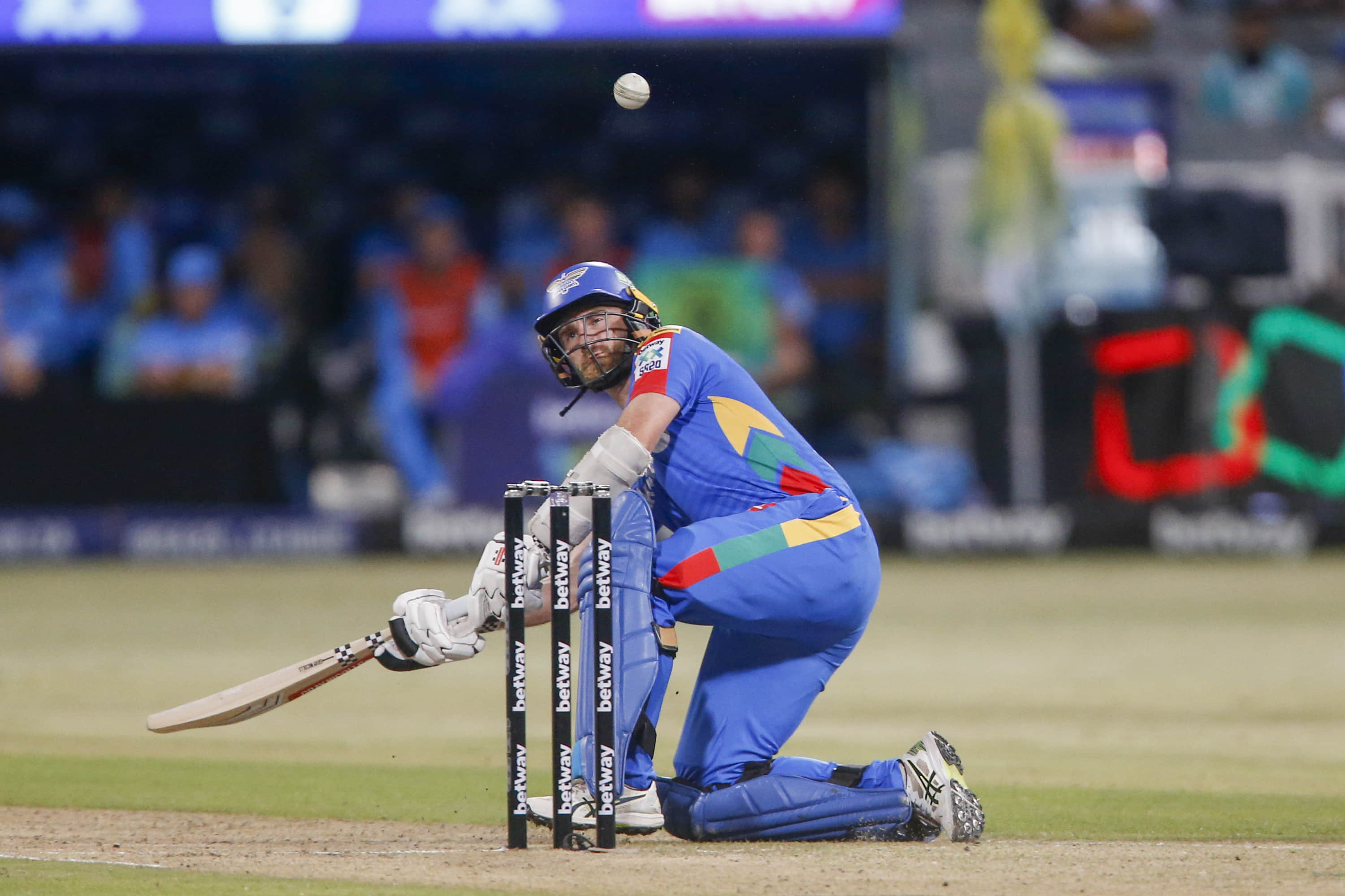 SA20 2025: Kane Williamson smashes fifty on SA20 debut