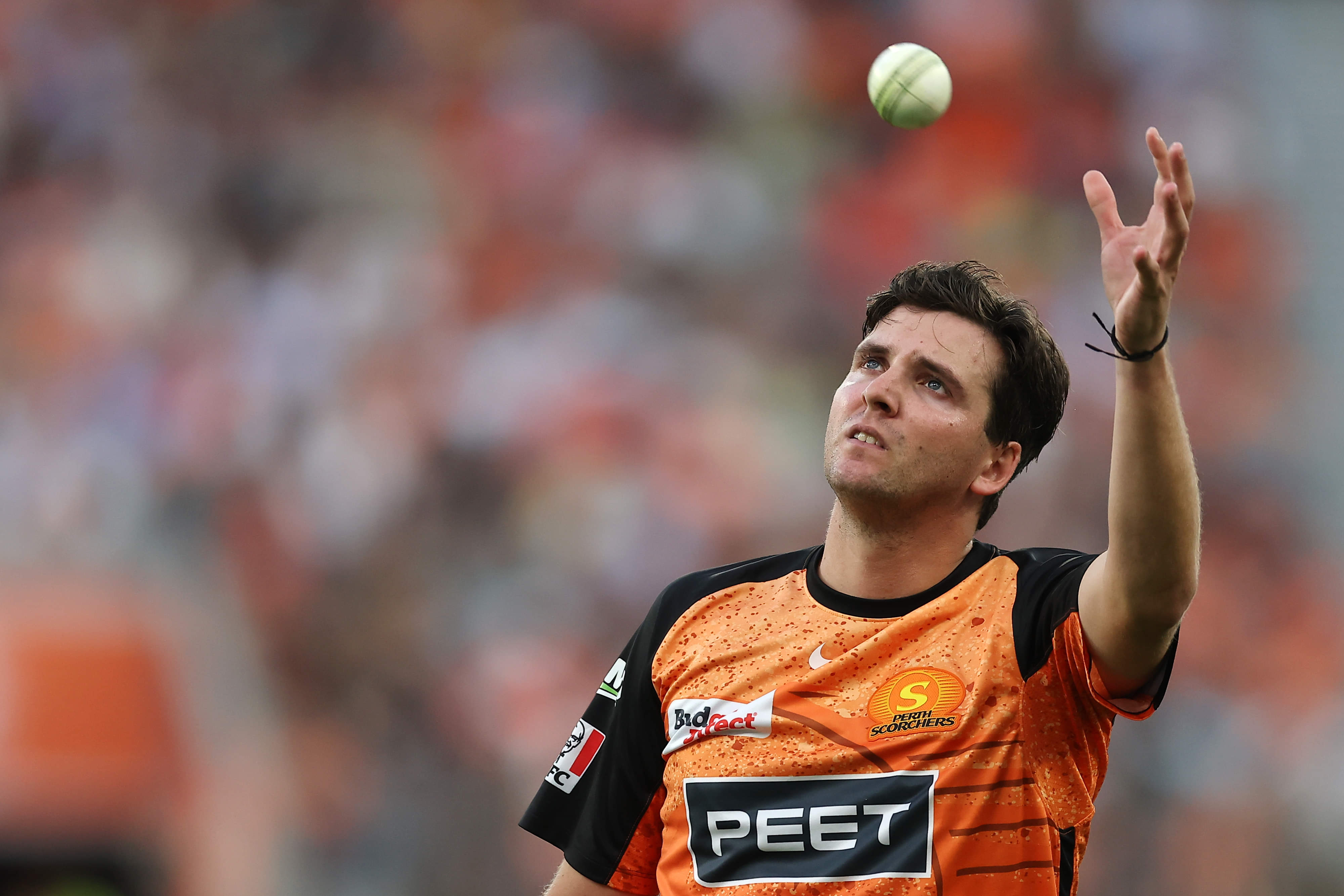 BBL 2024-25: Shoulder surgery brings Jhye Richardson's summer to an end