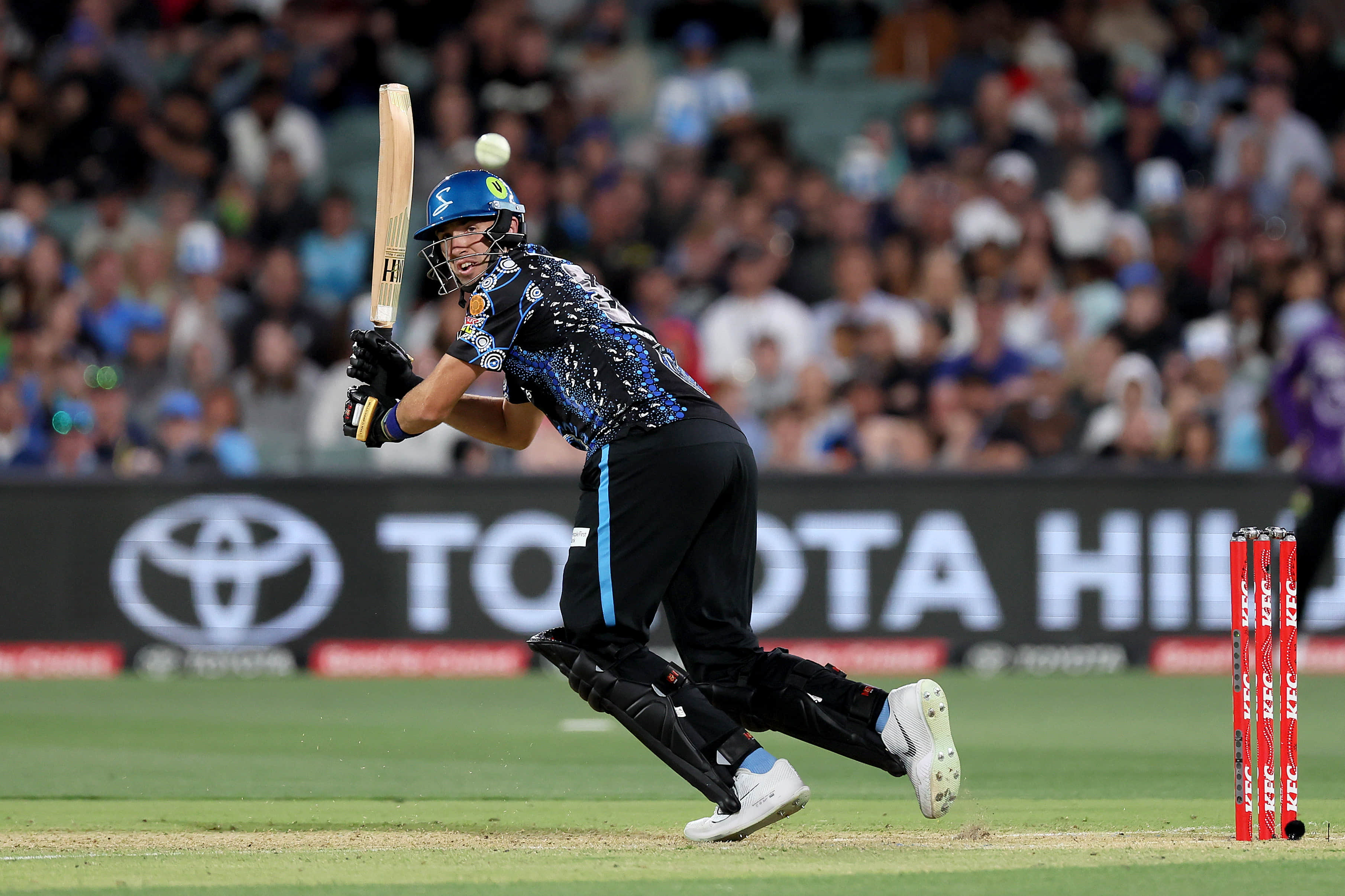 Averaging 95.5, CSK star continues scorching batting form in BBL