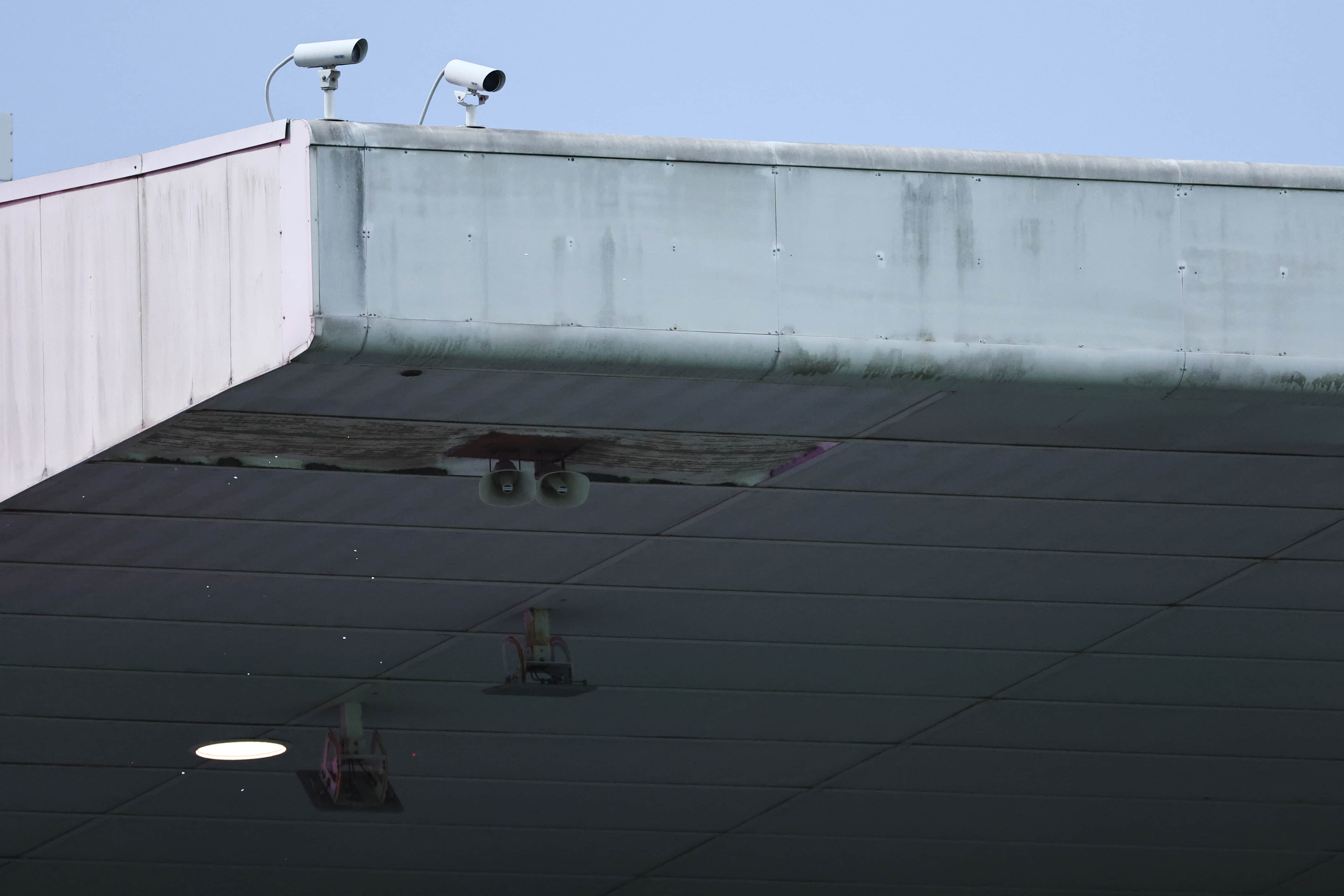 BBL 2024-25: Roof falls off at SCG ahead of Thunder-Sixers clash